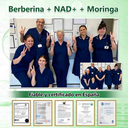 𝐈𝐧𝐬𝐋𝐞𝐦𝐨𝐧® 𝗠𝗼𝗿𝗶𝗻𝗴𝗮 × 𝗕𝗲𝗿𝗯𝗲𝗿𝗶𝗻𝗮 × 𝗔𝗠𝗣𝗞 𝟭𝟬-𝗶𝗻-𝟭 𝗣𝗮𝗿𝗰𝗵𝗲 𝗠𝗲𝘁𝗮𝗯𝗼𝗹𝗶𝗰𝗼 𝗱𝗲 𝗡𝗮𝗻𝗼 𝗠𝗶𝗰𝗿𝗼𝗮𝗴𝗵𝗮 (🇪🇸 Solo una vez al día, cambios visibles en 7 días) ✅ Para sobrepeso, diabetes, apnea del sueño, problemas articulares y más.