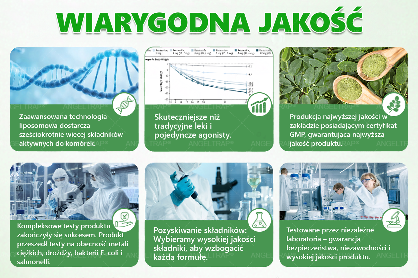 🧡🧡🧡ANGELTRAP® Moringa × Berberyna × AMPK 10-w-1 Wsparcie metaboliczne, plaster z nanotechnologią mikroigłową 🇵🇱(Wystarczy raz dziennie, widoczne efekty w 7 dni) ✅ Na otyłość, wiotką skórę, cukrzycę, bezdech senny, problemy ze stawami i wiele innych