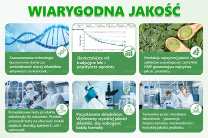 🧡🧡🧡ANGELTRAP® Moringa × Berberyna × AMPK 10-w-1 Wsparcie metaboliczne, plaster z nanotechnologią mikroigłową 🇵🇱(Wystarczy raz dziennie, widoczne efekty w 7 dni) ✅ Na otyłość, wiotką skórę, cukrzycę, bezdech senny, problemy ze stawami i wiele innych