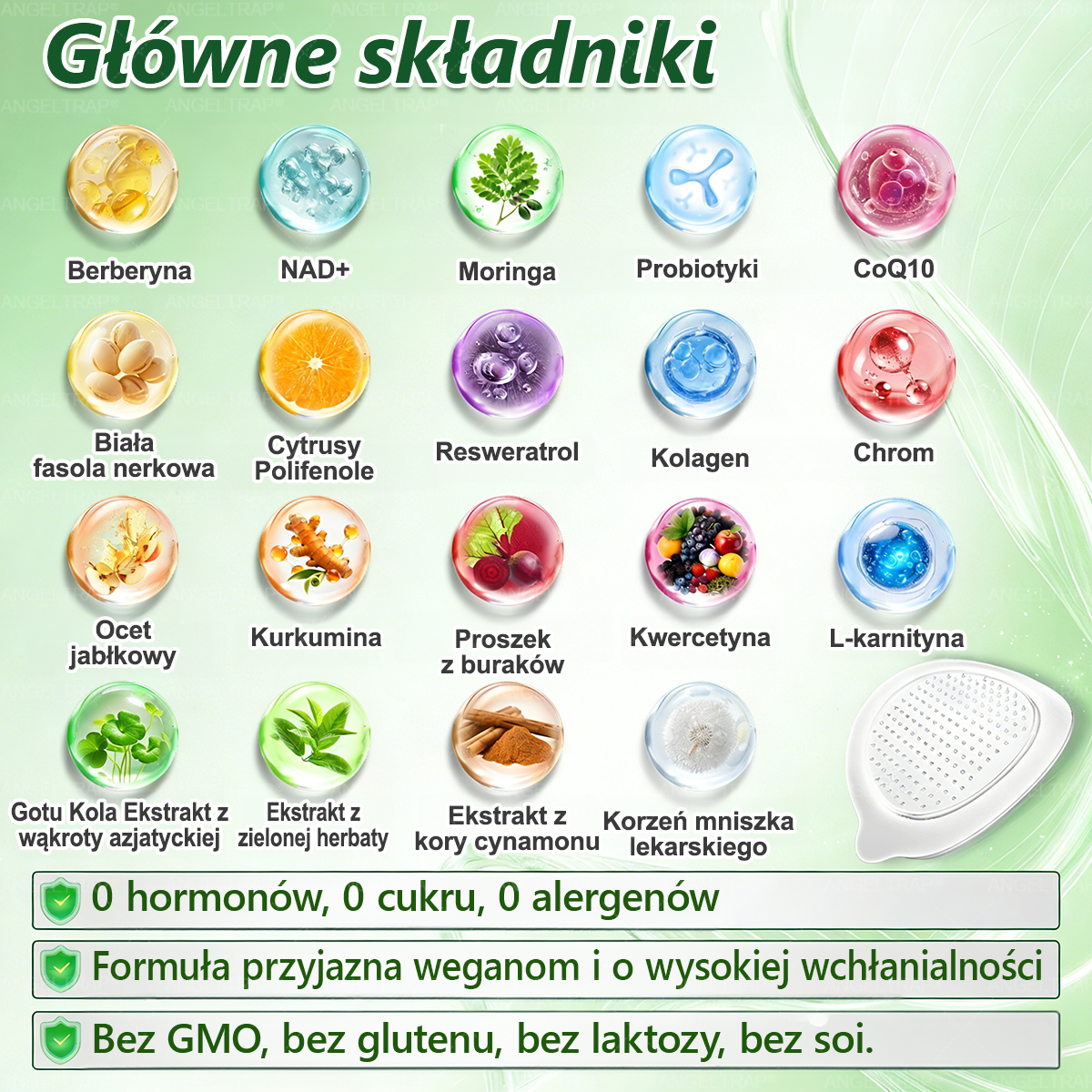 🧡🧡🧡ANGELTRAP® Moringa × Berberyna × AMPK 10-w-1 Wsparcie metaboliczne, plaster z nanotechnologią mikroigłową 🇵🇱(Wystarczy raz dziennie, widoczne efekty w 7 dni) ✅ Na otyłość, wiotką skórę, cukrzycę, bezdech senny, problemy ze stawami i wiele innych